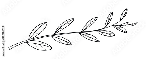 Line art olive branch with leaves symbolizing peace and nature, perfect for organic branding and springtime greetings.
