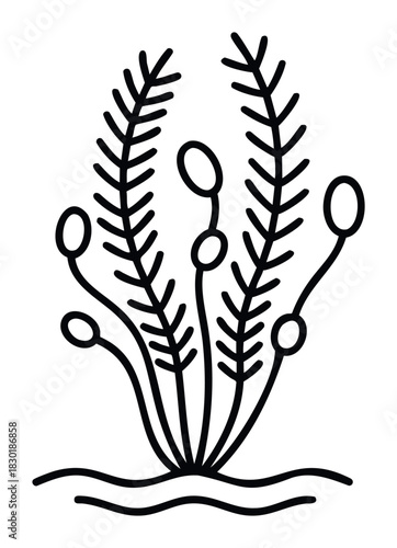 Stylized black line drawing of aquatic plant with seed pods emerging from wavy lines representing water, perfect for nature themes and organic concepts.