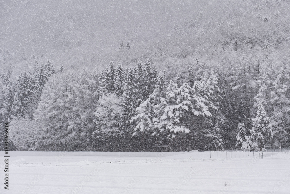 Naklejka premium 冬 雪景色