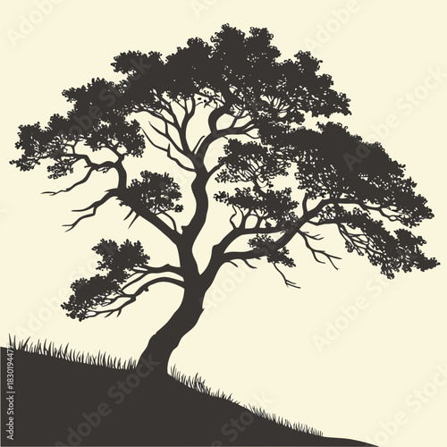 Silhouette of a large mature pine tree with sprawling branches and lush foliage standing tall on a grassy incline against a pale neutral background