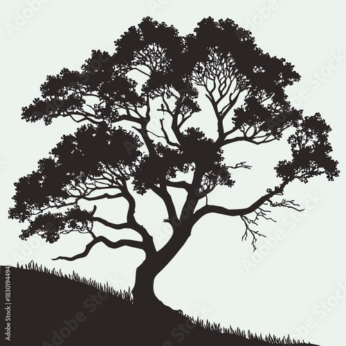 A detailed silhouette of a mature sprawling tree with intricate branches and dense foliage set against a plain light background with a grassy slope at its base