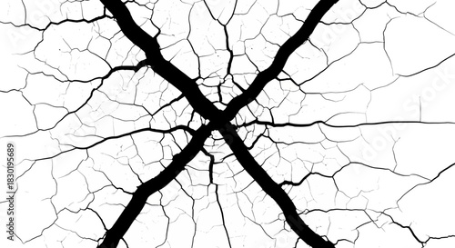Abstract crisscross black and white crackle texture with intricate line patterns creating a bold