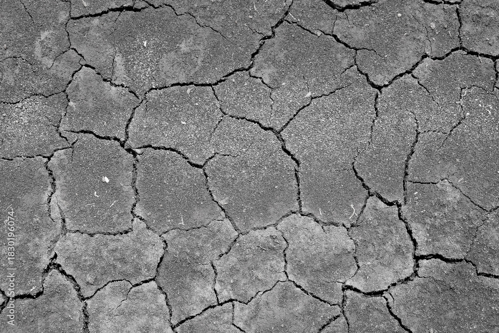 Fototapeta premium Wall texture soil dry crack pattern of drought lack of water of nature brown old broken background.