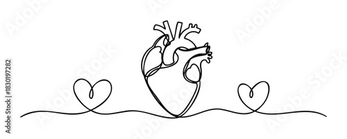 One line drawing of human heart with connected hearts symbolizing love and life for medical or romantic themes.