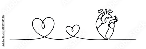 Simple continuous line drawing connecting two heart shapes to a detailed human heart symbolizing love and lifes journey used for health care and romance themes