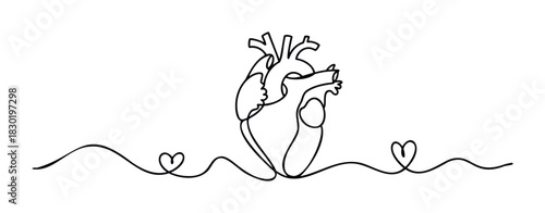 One line drawing of a human heart with flowing lines and heart shapes, symbolizing love and life for medical or romantic themes