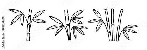 Simple black and white line drawings of bamboo stalks with leaves, perfect for graphic design, branding, and decorative purposes.
