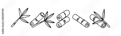 Collection of bamboo stalks and leaves as simplified line drawings for natural organic themes and Asian inspired themes perfect for use in graphic applications and decorative purposes