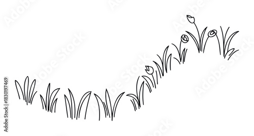 Simple line drawing of grass and tulips in a gentle curve, perfect for spring themes and naturalistic compositions in graphic projects.