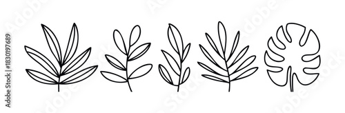 Collection of outline tropical plant leaves and branches for natural decor and botanical graphic projects offering a fresh organic aesthetic for design applications