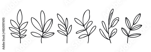 Collection of simple black outline botanical branches with leaves, ideal for minimalist decor and graphic embellishments