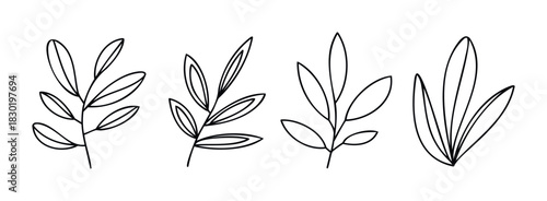 Minimalist line drawing of four different plant stems with leaves, perfect for organic branding, natural product packaging, or botanical website graphics.
