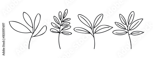 Minimalist line drawings of delicate botanical sprigs and leafy branches for naturalthemed projects and organic branding visuals