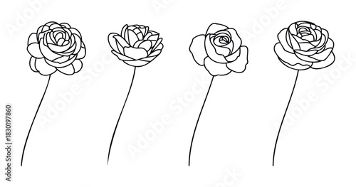 Simple outline drawing of four distinct roses on thin stems presented in a row against a white background, suitable for graphic elements, branding, or decorative purposes.