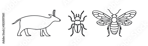 Outline drawings of a goatlike animal, a beetle, and a moth or butterfly for nature and science educational materials.