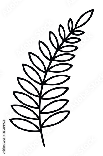 Simple line art botanical element depicting a fern frond with many leaves curving upwards and to the right, perfect for graphic overlays and springtime themes.