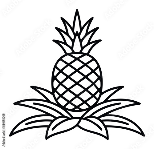 Stylized line art of a tropical pineapple fruit with leafy crown and foliage base, perfect for summer themes, food graphics, and healthy lifestyle promotions.