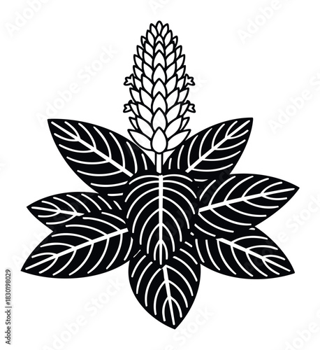 Stylized botanical graphic of a flowering plant with prominent leaves and central coneshaped bloom, perfect for natural health and wellness branding or organic product promotion