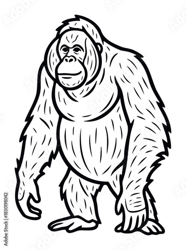 Line art representation of a primate ape in a walking pose, suitable for educational materials, natural history exhibits, and zoo promotions.