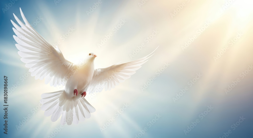 Fototapeta premium A majestic white dove with widespread wings gracefully soars through a luminous, radiant sky, symbolizing the New Testament Holy Spirit.
