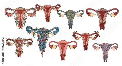 A collection of stylized female uterus illustrations decorated with various colorful flowers, symbolizing women's health and fertility.