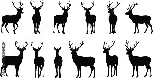 Deer silhouettes collection, stag with antlers, wildlife animal poses, hunting design illustration, black silhouette artwork, forest nature symbol, outdoor wildlife graphic