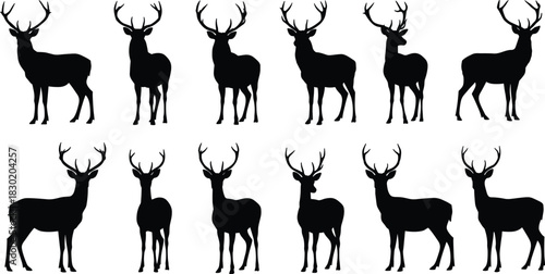 Deer silhouettes collection, stag with antlers, wildlife animal poses, hunting design illustration, black silhouette artwork, forest nature symbol, outdoor wildlife graphic
