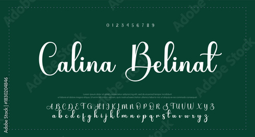 Signature script lettering font 
