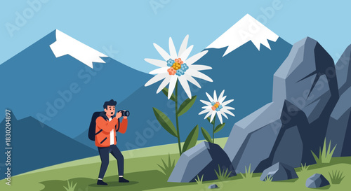 Photographer capturing edelweiss flowers amidst the breathtaking alpine scenery