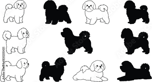 Dog silhouettes and outline drawings, small fluffy pet poses, black and white design, animal illustration, artistic comparison, abstract canine art
