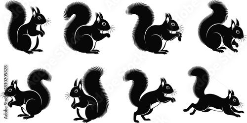 Black squirrel silhouette vector icon set, different poses, sitting, running, jumping, holding nut, 