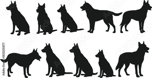 Dog silhouettes, canine poses, pet illustration, German Shepherd artwork, sitting dog, standing dog, domestic animals, animal design, dog collection, silhouette art
