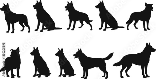 Dog silhouettes, canine poses, pet illustration, German Shepherd artwork, sitting dog, standing dog, walking dog, domestic animals, animal design, silhouette art