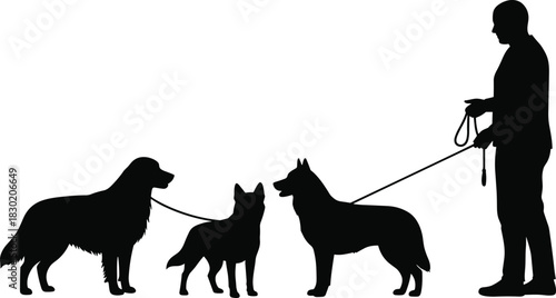 Dog silhouettes, human walking dogs, leash training, pet care, breed comparison, animal design, family concept, canine illustration, walking scene, outdoor activity