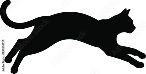 Black silhouette of a cat jumping white