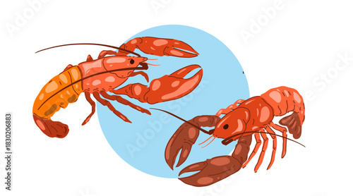 Lobster with claws, fresh seafood. Marine animal with claws. Crustacean, sea food, underwater crayfish. Flat vector illustration isolated on white background