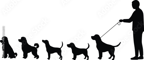 Dog silhouettes, human walking dogs, pet lineup, leash training, breed comparison, animal design, family concept, canine illustration, walking scene, scale reference