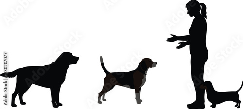 Dog silhouettes, human with dogs, pet interaction, leash training, breed comparison, animal design, family concept, canine illustration, outdoor activity, scale reference