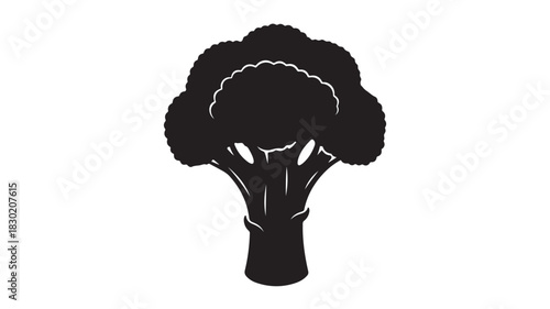 Broccoli silhouette vector illustration simple flat design isolated on white background for healthy eating concepts