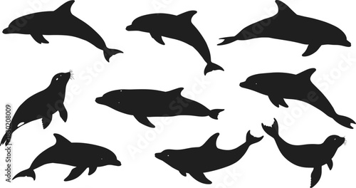 Dolphin and seal silhouettes, marine animal illustration for education, ocean wildlife design, aquatic character art, and zoology learning projects