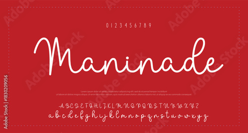 Elegant Script Font Alphabet Typography 