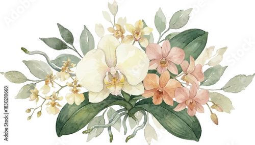 An Orchid Flower Ornament watercolor for Invitation Border
