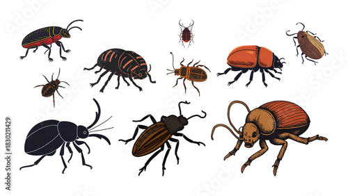 Insect vector illustration set