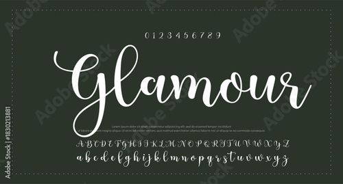 Signature Elegant Branding Typeface. Handwritten Script Editable Text Effect Template . vector illustration  