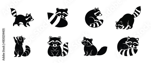 A graphic set of cute raccoon characters in different poses and icons