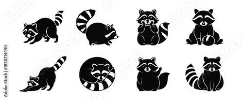 Cute Raccoon Illustrations in Various Poses and Actions