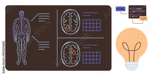 Human nervous system diagram, detailed brain activity scans, coding interface, and light bulb. Ideal for health, science, medical research, neurology education AI and innovation. Simple flat