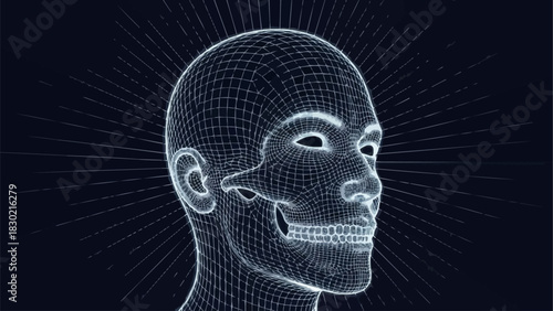 Wireframe Human Head with Visible Skull Structure.
