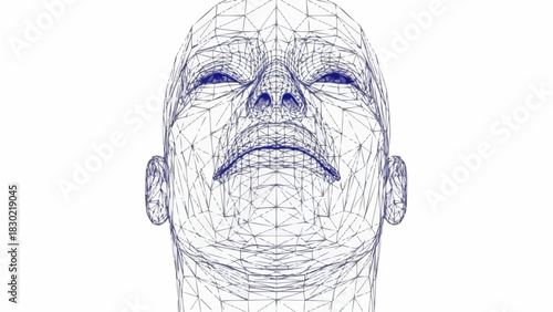 Three dimensional wireframe model of a human head with a pained expression.