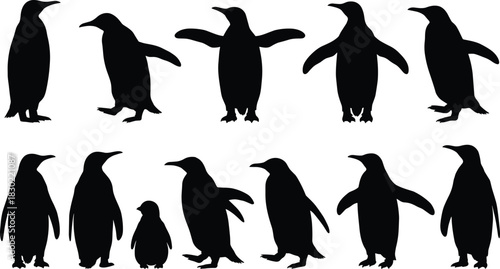 Set of twelve black penguin silhouettes in various poses including standing, walking, and with wings spread, representing wildlife, Antarctic animals, and nature vector collection.
